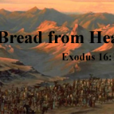 Bread from Heaven @ Exodus 16:1-8