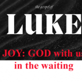 JOY: GOD WITH US IN THE WAITING​ @ Luke 1:26-38