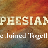 Be Joined Togeter (II) @ Ephesians 2:19-22, 4:15-16​