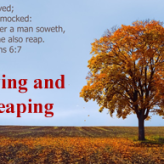 Sowing and Reaping @ Galatians 6:7-8